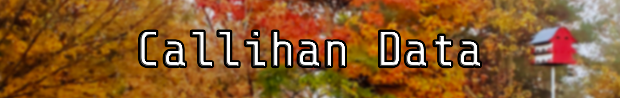 Chad Callihan